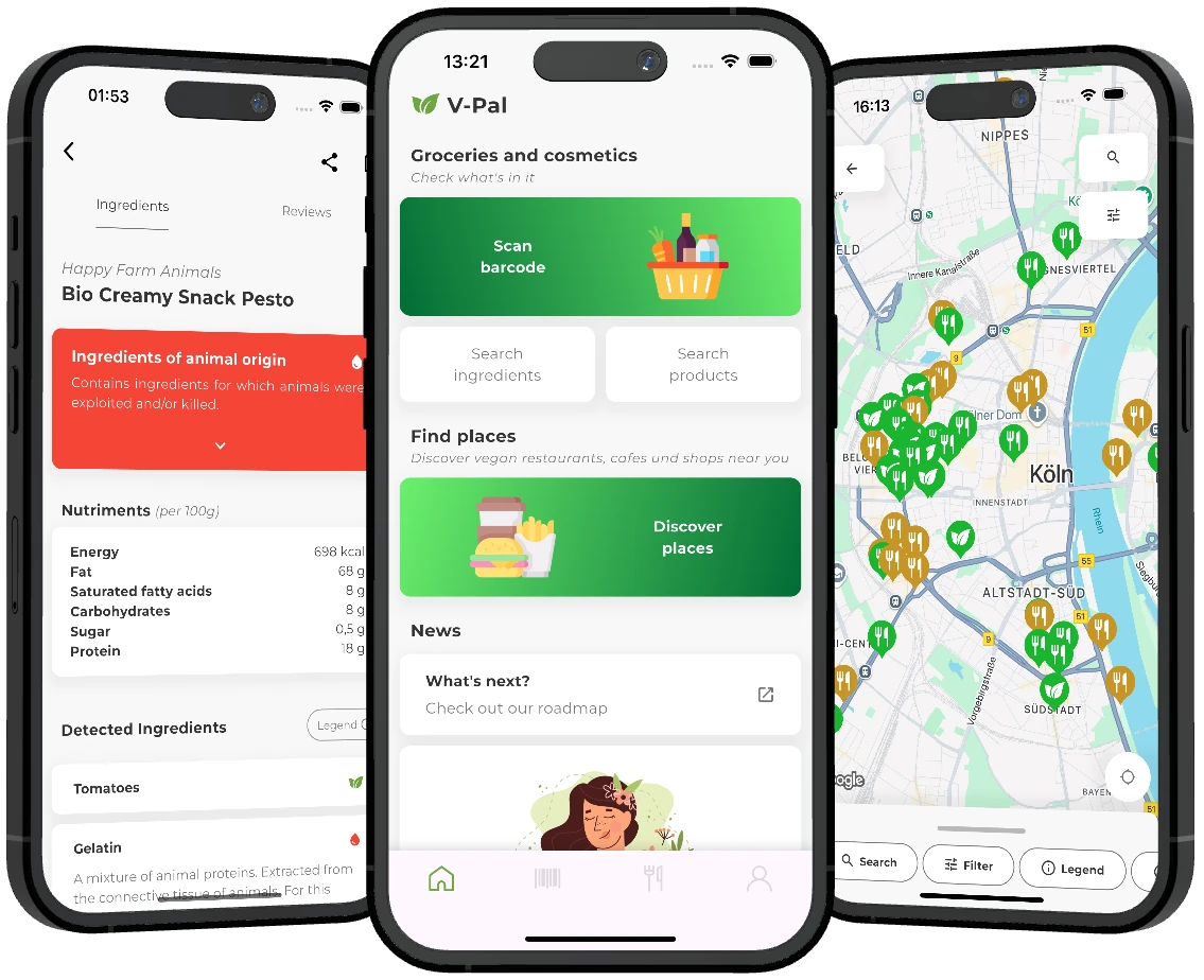 Mockup with main functions of the app.